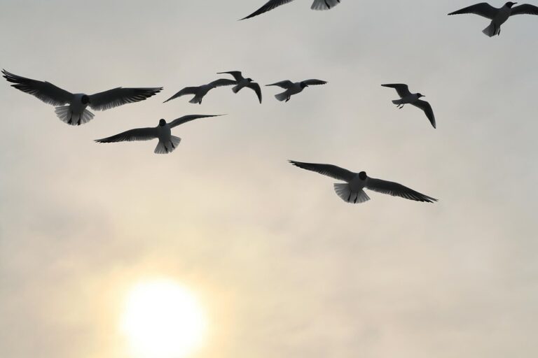 Boost Your Facebook Game: 10 New Tips to Maximize Your Online Presence