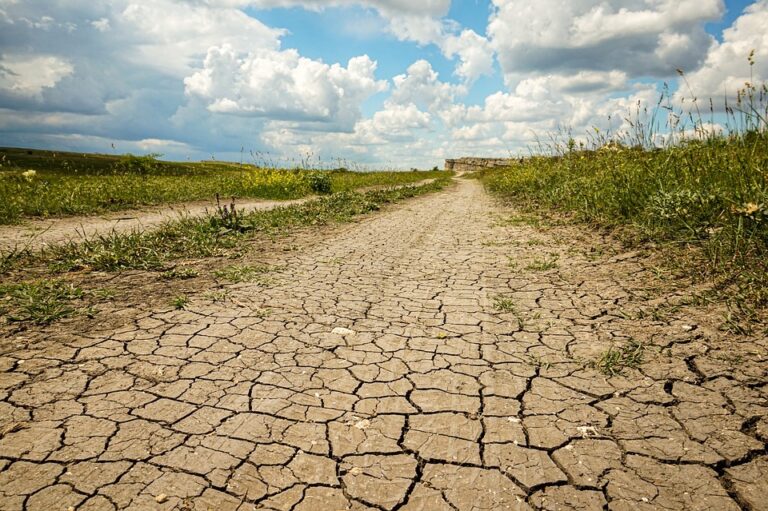 Cracking the Code: 5 Facebook Ad Strategies Guaranteed to Boost Your ROI