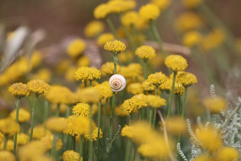 10 Essential Leadership Skills to Accelerate Your Team’s Growth