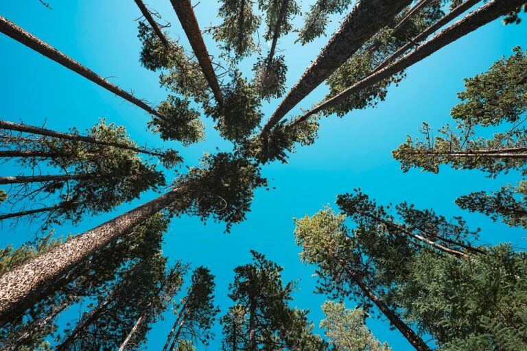 10X Your Reach: Scalable Marketing Strategies for Ambitious Businesses