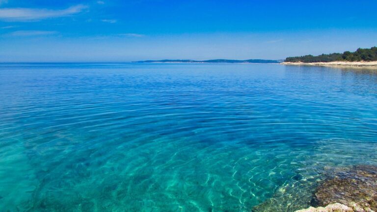 The Millionaire Mindset: How to Think and Act Like a High-Net-Worth Individual