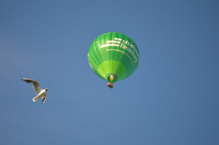 Boost Your Income with a Side Hustle: Ideas and Inspiration for Supplemental Earning