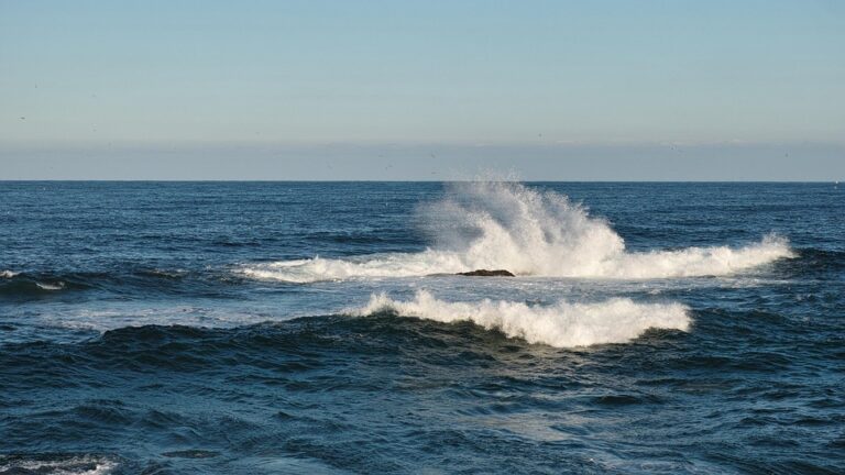 Breaking Down Borders: Strategies for Global Logistics Success