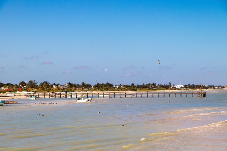 From Procrastination to Progress: How to Overcome Fear and Achieve Your Business Goals