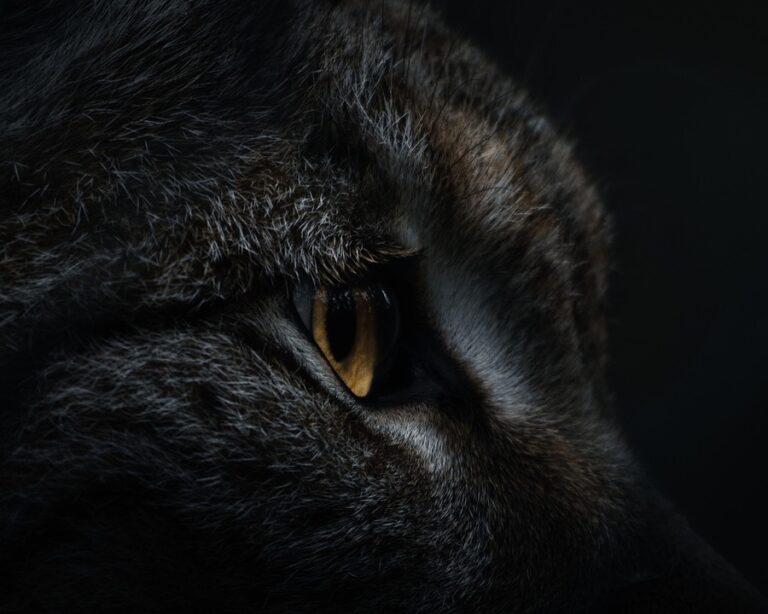 From Side Hustle to Full-Time Venture: How to Turn Your Passion into a Profitable Business