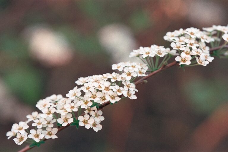 General Marketing Tips