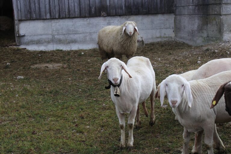 How to Create a Schedule That Actually Works for You, Not Against You