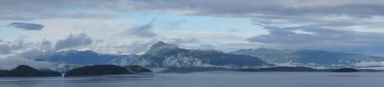 Insider Secrets: Millionaires Share Their Top Investment Strategies