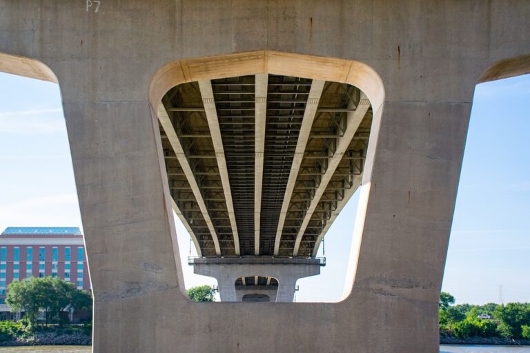 Leading in the Age of Disruption: Strategies for Staying Ahead of the Curve