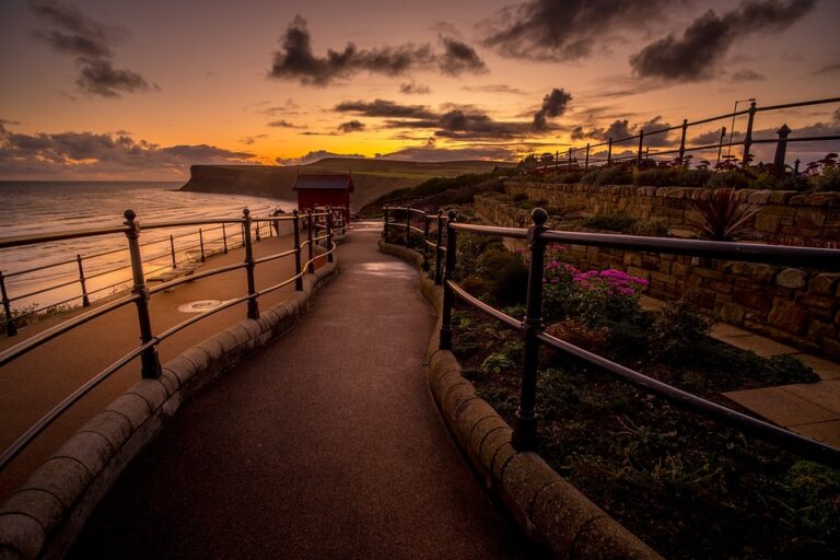 Leading with Purpose: How to Define and Achieve Your Vision