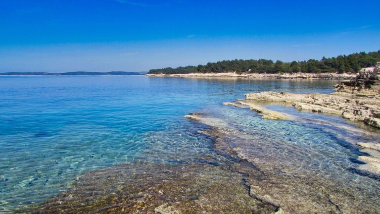 Millionaire Mindset: How to Scale Your Business for Exponential Growth and Wealth