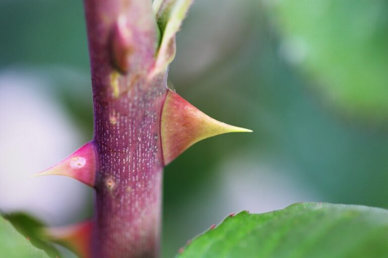 Protecting Your Portfolio: Top Strategies for Risk Reduction