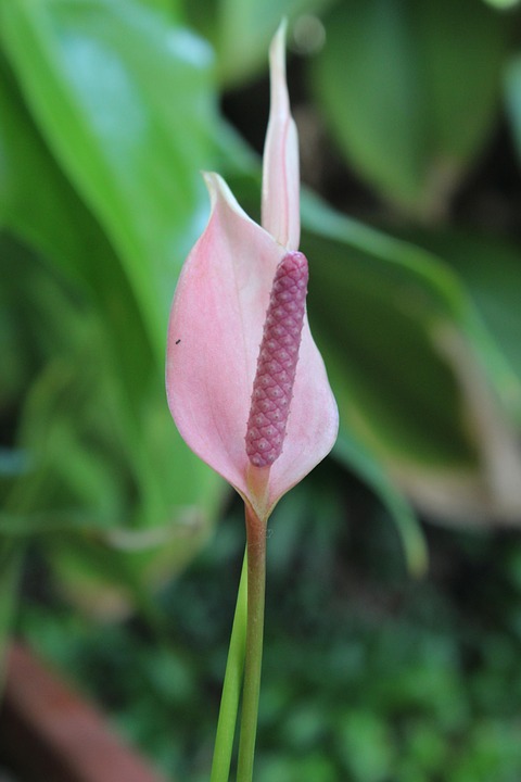 The 80/20 Rule: How to Focus on What Really Matters in Your Business