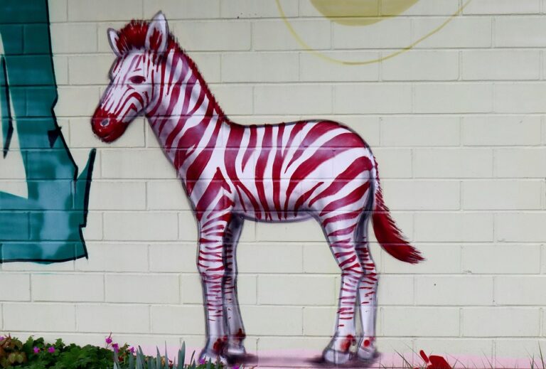 The Art of Anthropology: Understanding Consumer Behavior in the Digital Age