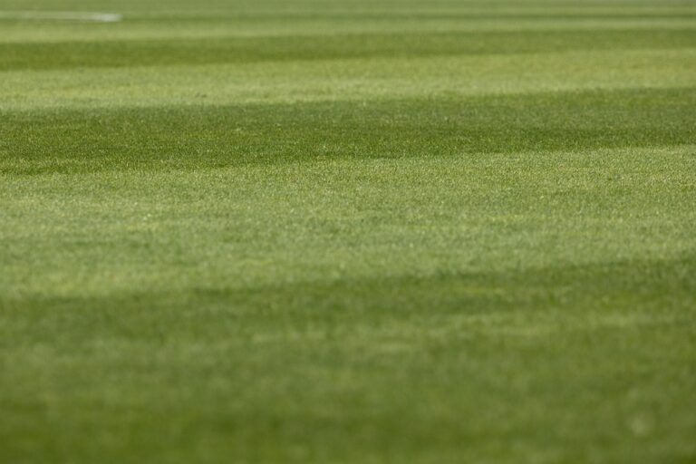 The Million-Dollar Pitch: Stories of Entrepreneurs Who Hit it Big