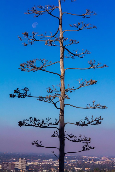 The Millionaire Mindset: 5 Innovative Ideas to Build Your Fortune