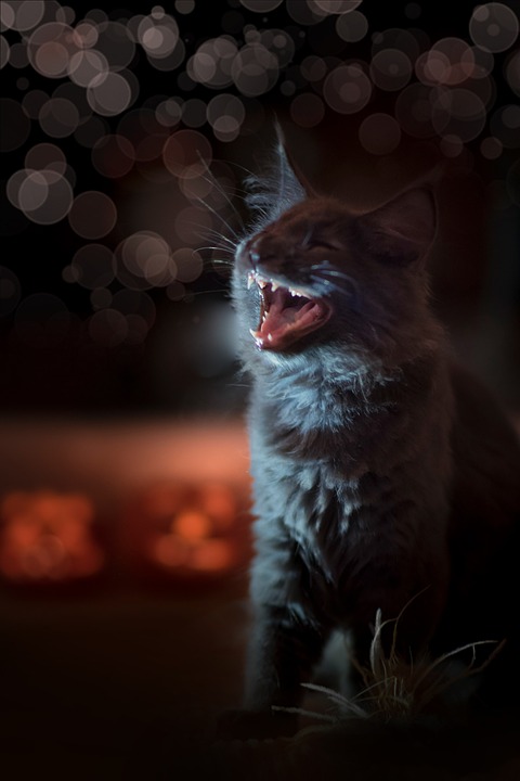 The Secret to Creating Wealth: Millionaires Share Their Most Scalable Business Ideas