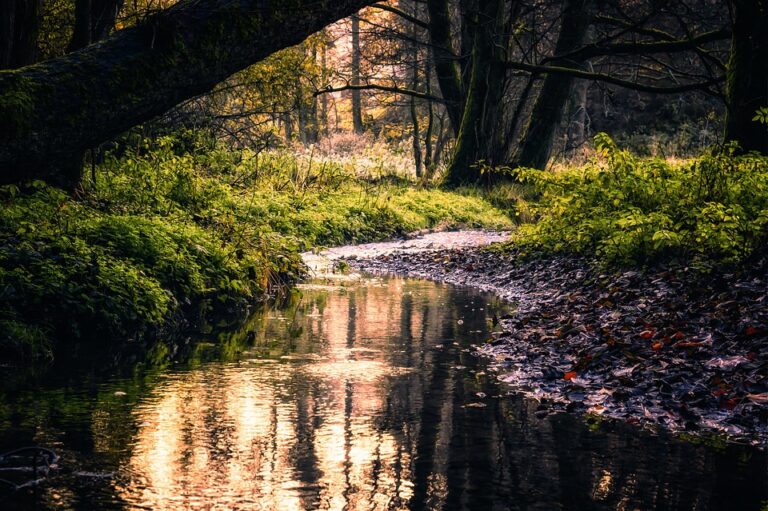 The Secret to Earning More Money: Why Your Mindset is the Key to Unlocking Your Financial Potential