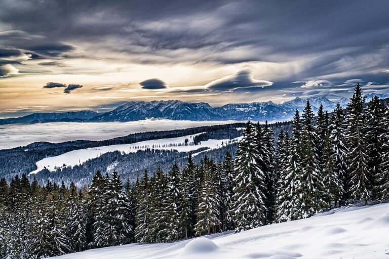 The Ultimate Cheat Sheet for New Marketers: Tips and Tricks