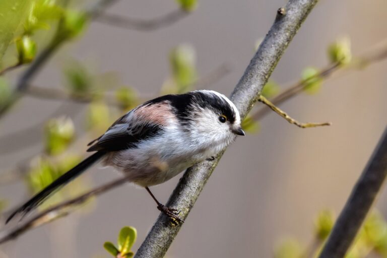 The Ultimate Guide to Logistics Optimization: Top 5 Strategies