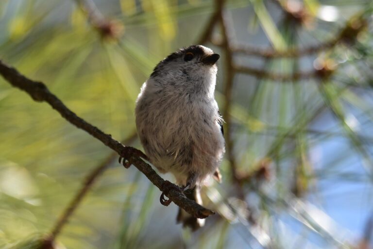 The Ultimate Guide to Maximizing Profits: Expert Strategies for Business Success