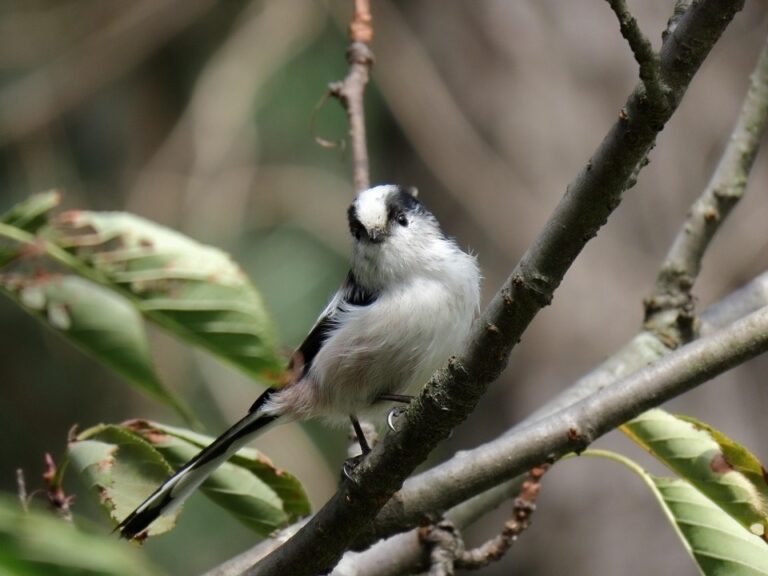 The Ultimate Guide to Scaling Your Ad Spend: How to Boost Conversions by 300%