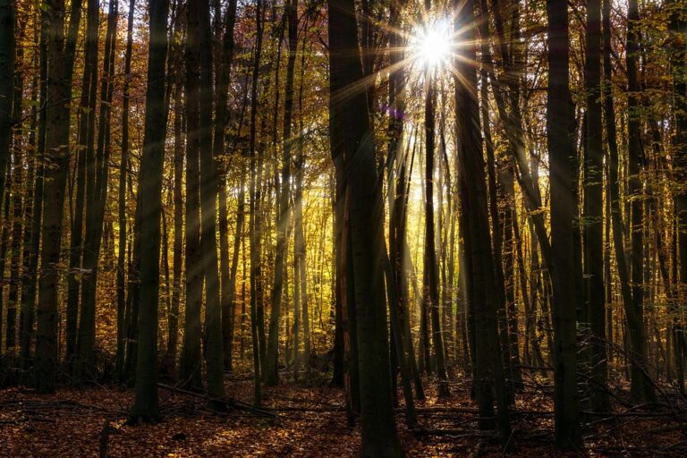 Unlock the Secret to Viral Success: 5 Unconventional Marketing Hacks