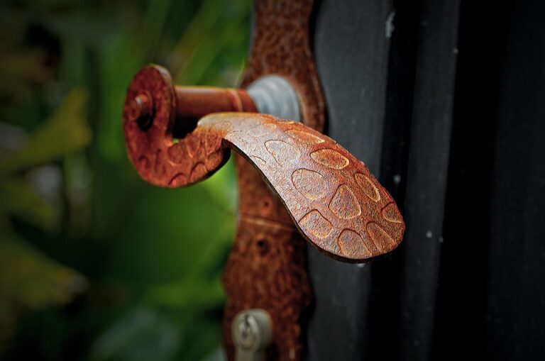 Unlocking the Secrets of Success: An Exclusive Interview with [Millionaire’s Name]