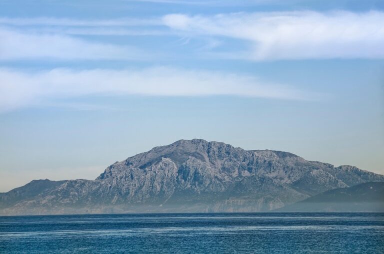 Beyond Tariffs: Best Practices for Navigating Global Trade Hurdles