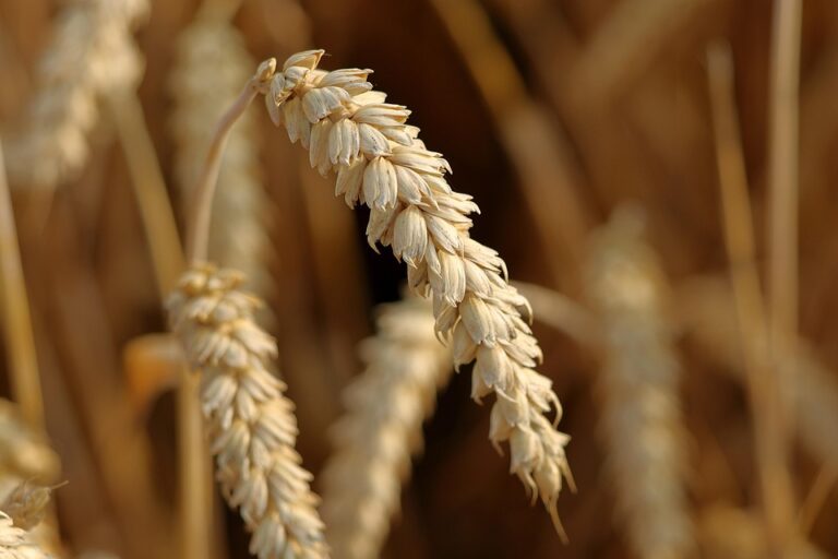 Beyond the Basics: 5 Advanced LinkedIn Features You’re Not Using (But Should Be)