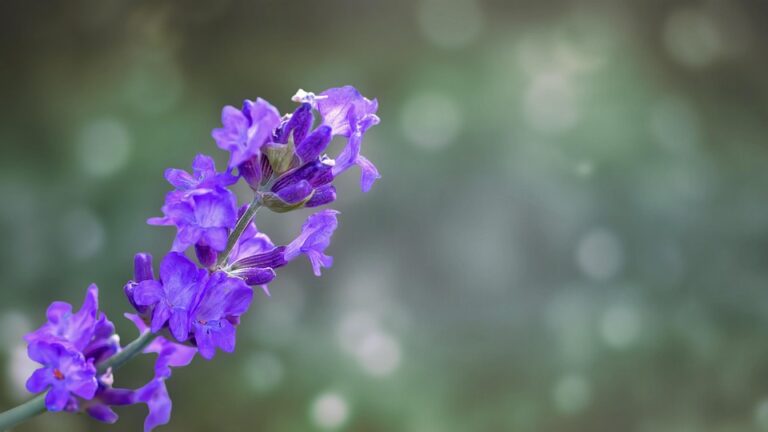 Facebook’s Algorithm Update: What You Need to Do to Stay Ahead of the Game