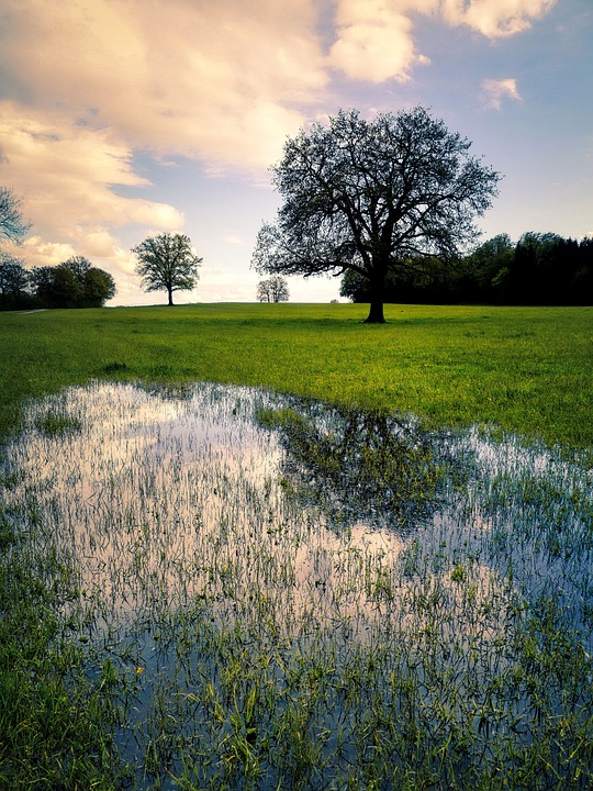 From Stagnation to Growth: How to Level Up Your LinkedIn Presence Overnight