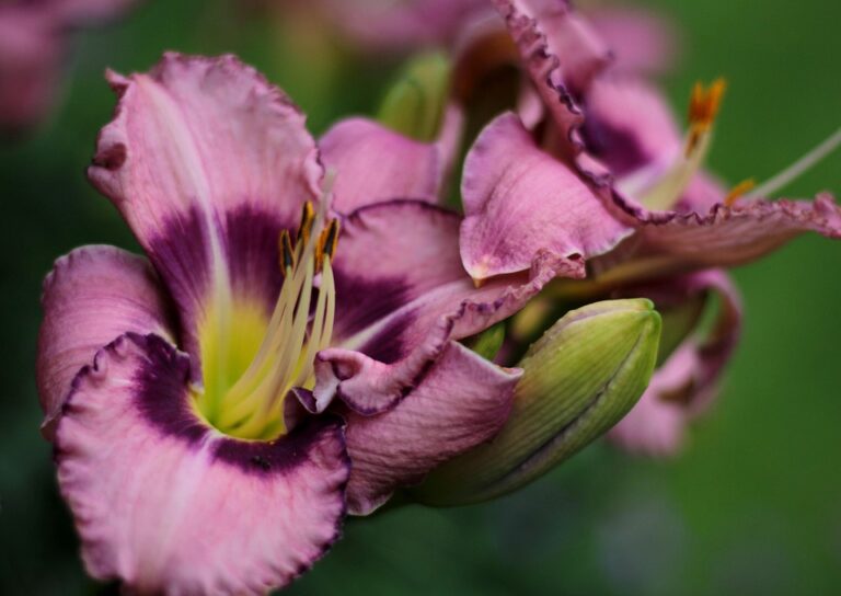 Get Ahead of the Curve: The Future of Social Media Marketing on LinkedIn with Dynamic Posts