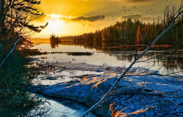 Global Trade Growth Reaches Fastest Pace in Years