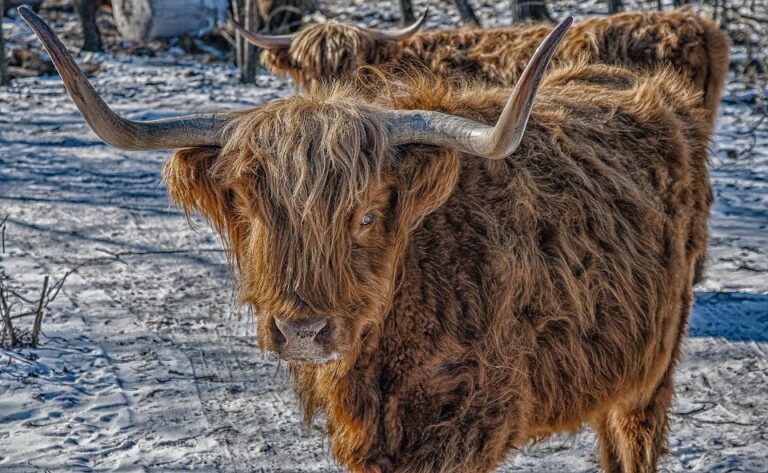 How to Foster a Culture of Innovation and Creativity in Your Organization