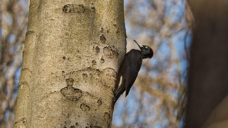 Master the Art of LinkedIn Networking: 10 Creative Ways to Connect with Others