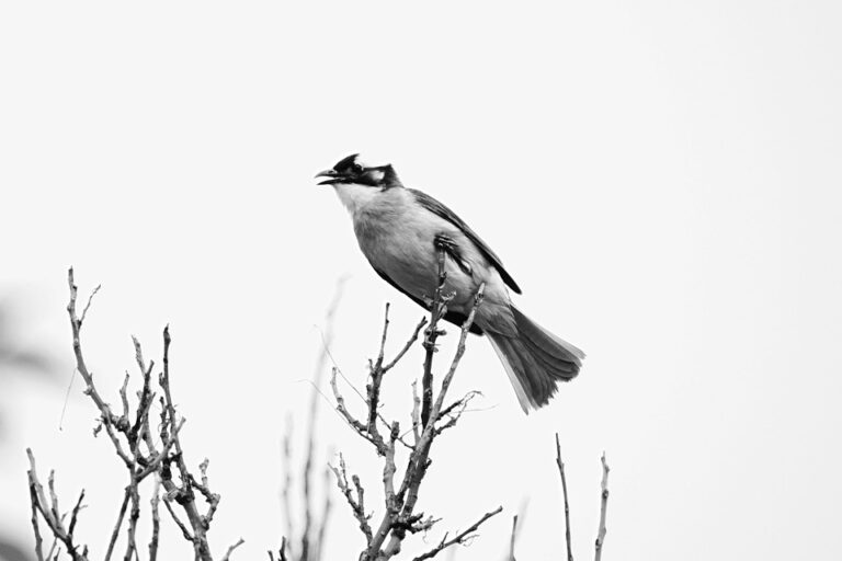 Pursue Your Passion and Profit: 6 Creative Ways to Monetize Your Favorite Hobbies