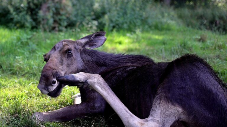 The Astonishing Power of LinkedIn Storytelling: How to Use Personal Anecdotes to Engage and Inspire Your Audience