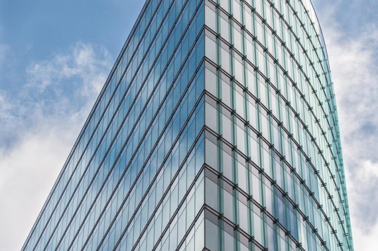 The Business of Emotion: Understanding How Emotions Drive Purchase Decisions