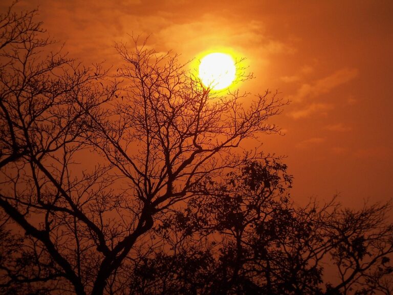 The Innovation Imperative: How to Stay Ahead of the Curve in a Rapidly Changing World