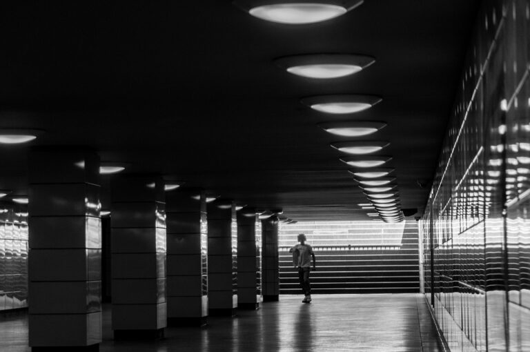 The Rise of the Digital Nomad: How to Build a Business that Can Be Run from Anywhere