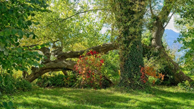 The Secret to Scaling Your Social Media Presence: Expert Tips and Tricks