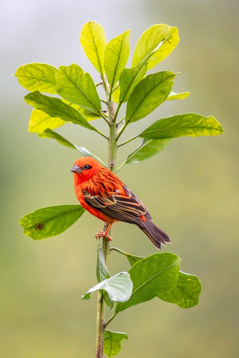 The Top 5 Business Trends to Watch in the Next Quarter