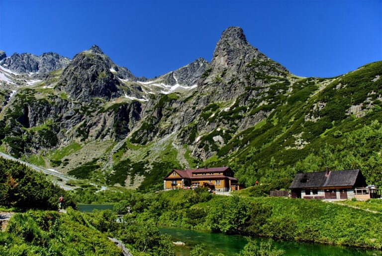 The Top 5 Productivity Tools You Need to Stay Organized and Focused