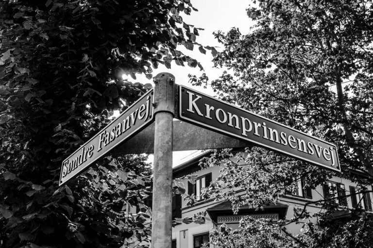 The Ultimate Guide to Creating a Healthy Work-Life Balance in the Digital Age