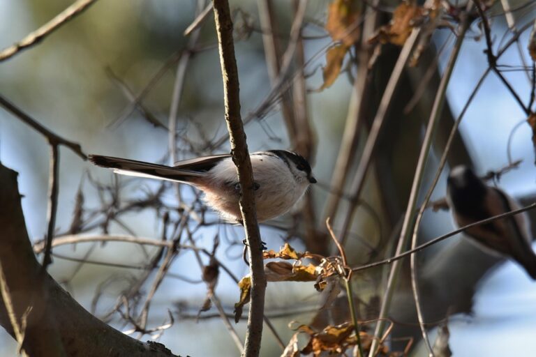 The Ultimate Guide to Time Blocking: Boost Your Productivity in 5 Easy Steps