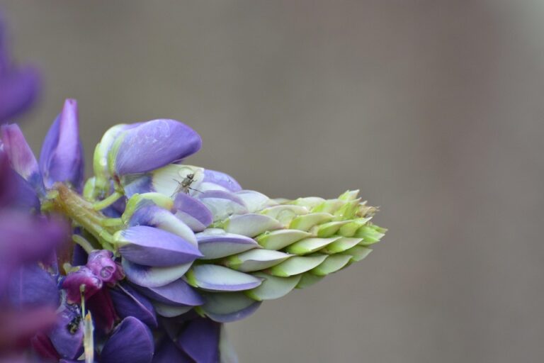 Tip Your Way to Financial Freedom: Insider Advice