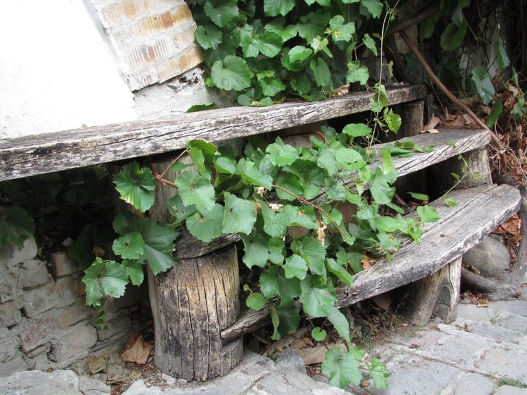 Unstoppable Leaders: The Secret to Building Unshakeable Confidence and Vision