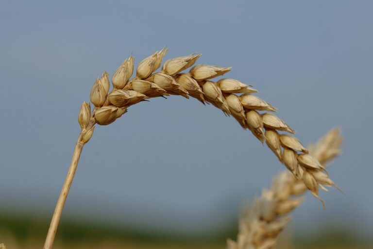 Beyond the Basics: Expert-Level Marketing Tips for Ambitious Brands