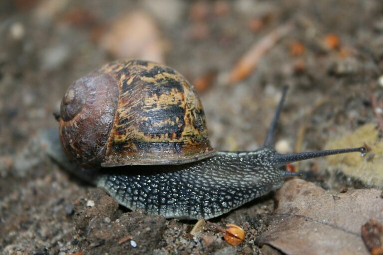 Getting Started with Logistics: A Beginner’s Guide to the Basics